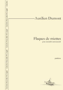 Flaques de miettes