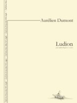Ludion