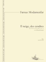 Il neige, des cendres